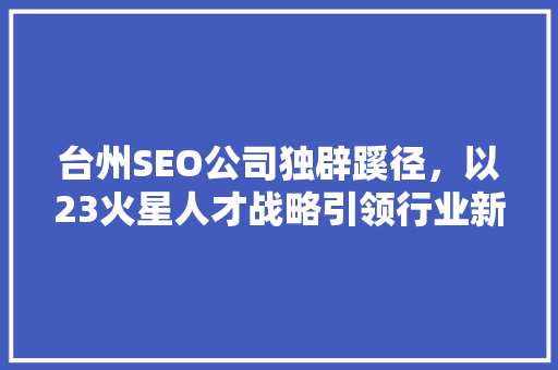 台州SEO公司独辟蹊径，以23火星人才战略引领行业新风向  第1张