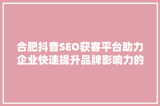 合肥抖音SEO获客平台助力企业快速提升品牌影响力的方法