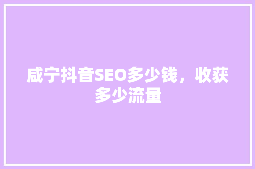 咸宁抖音SEO多少钱，收获多少流量