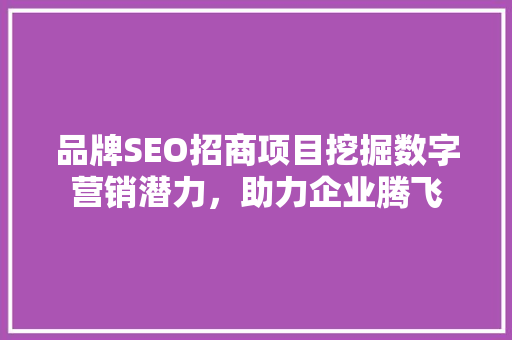 品牌SEO招商项目挖掘数字营销潜力，助力企业腾飞