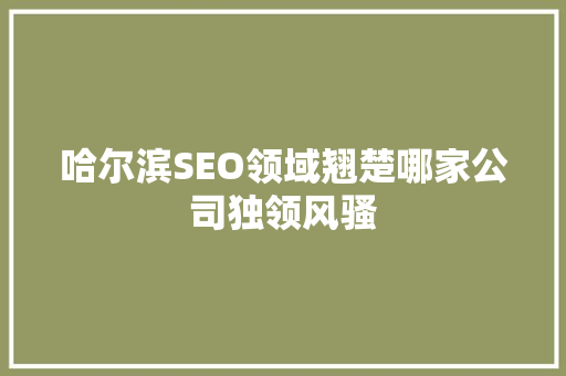 哈尔滨SEO领域翘楚哪家公司独领风骚