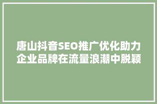 唐山抖音SEO推广优化助力企业品牌在流量浪潮中脱颖而出