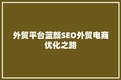 外贸平台蓝颜SEO外贸电商优化之路