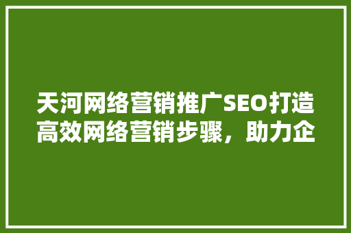 天河网络营销推广SEO打造高效网络营销步骤，助力企业腾飞