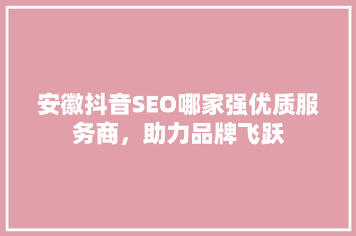 安徽抖音SEO哪家强优质服务商，助力品牌飞跃