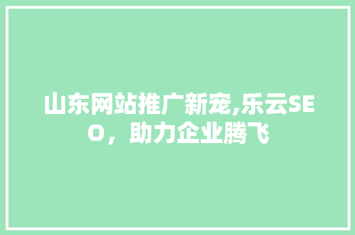 山东网站推广新宠,乐云SEO，助力企业腾飞