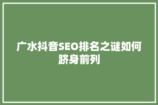 广水抖音SEO排名之谜如何跻身前列