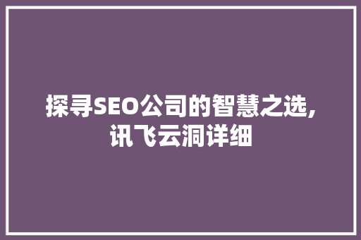 探寻SEO公司的智慧之选,讯飞云洞详细