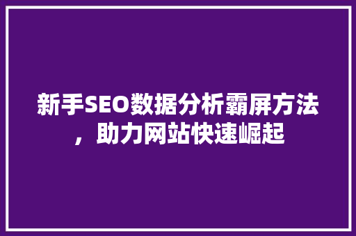 新手SEO数据分析霸屏方法，助力网站快速崛起