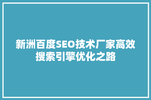 新洲百度SEO技术厂家高效搜索引擎优化之路