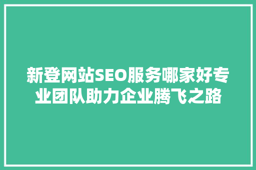 新登网站SEO服务哪家好专业团队助力企业腾飞之路