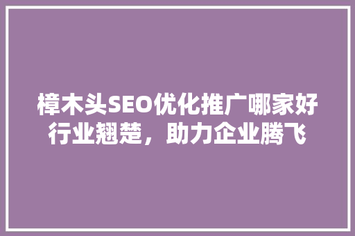 樟木头SEO优化推广哪家好行业翘楚，助力企业腾飞