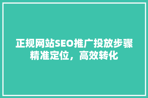 正规网站SEO推广投放步骤精准定位，高效转化