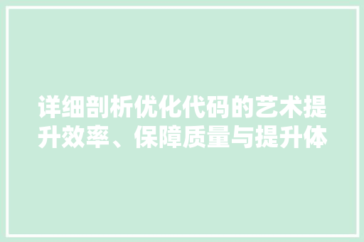 详细剖析优化代码的艺术提升效率、保障质量与提升体验