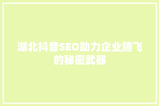 湖北抖音SEO助力企业腾飞的秘密武器