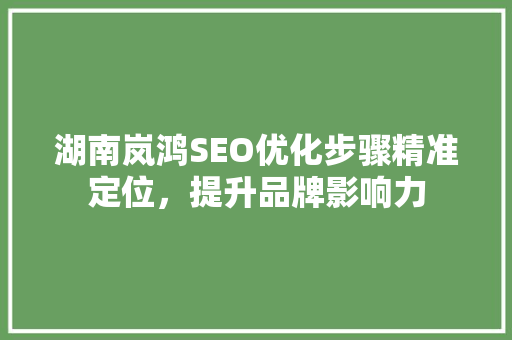 湖南岚鸿SEO优化步骤精准定位，提升品牌影响力  第1张