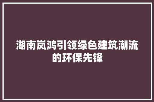 湖南岚鸿引领绿色建筑潮流的环保先锋