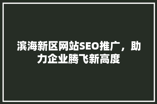 滨海新区网站SEO推广，助力企业腾飞新高度