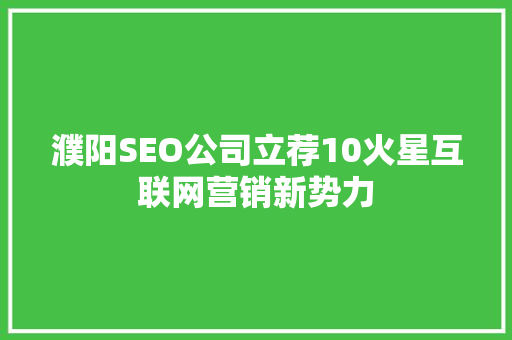 濮阳SEO公司立荐10火星互联网营销新势力