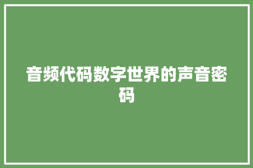 音频代码数字世界的声音密码