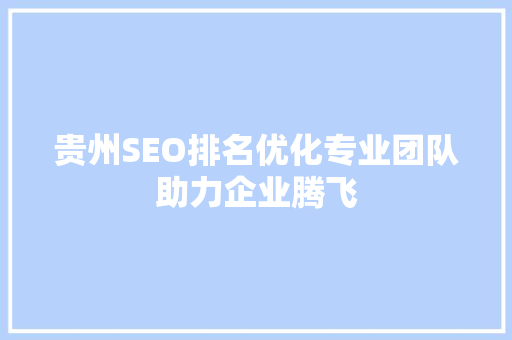 贵州SEO排名优化专业团队助力企业腾飞