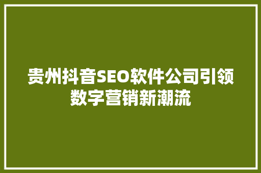 贵州抖音SEO软件公司引领数字营销新潮流