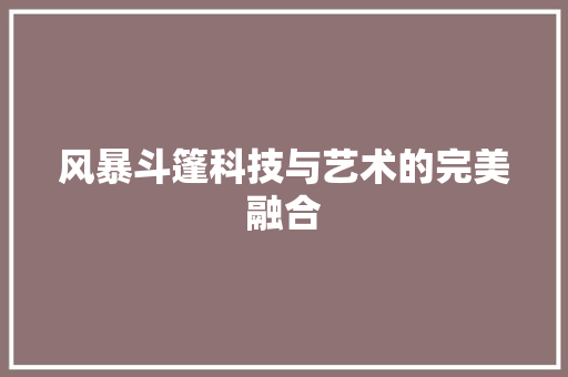 风暴斗篷科技与艺术的完美融合