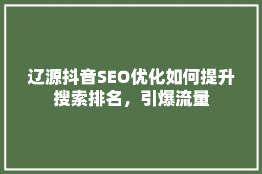 辽源抖音SEO优化如何提升搜索排名，引爆流量