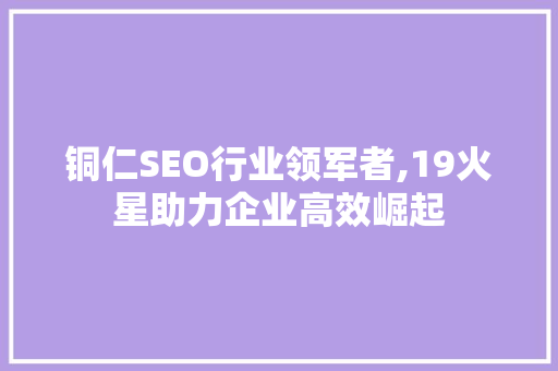 铜仁SEO行业领军者,19火星助力企业高效崛起