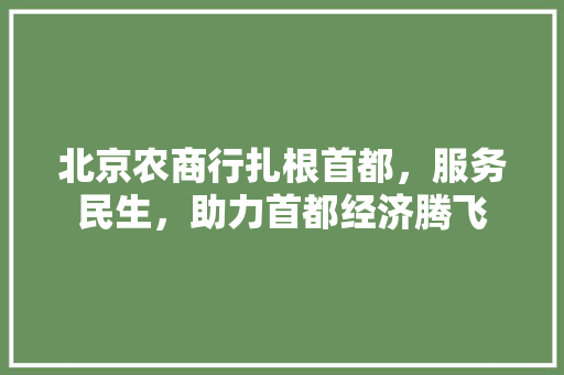 北京农商行扎根首都，服务民生，助力首都经济腾飞