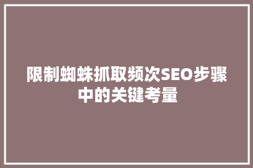 限制蜘蛛抓取频次SEO步骤中的关键考量  第1张