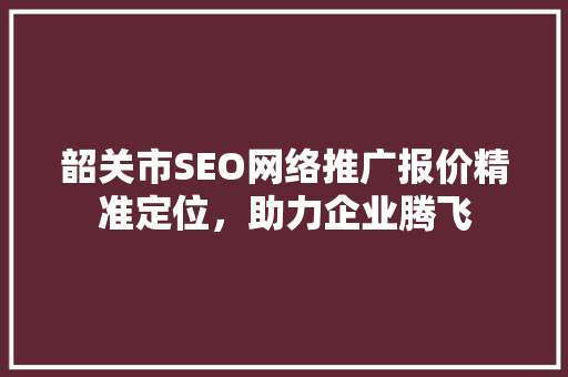 韶关市SEO网络推广报价精准定位，助力企业腾飞