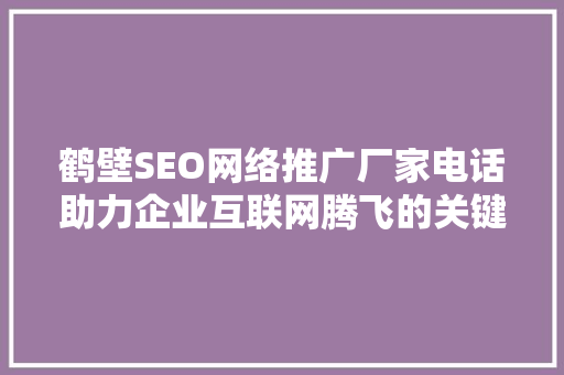 鹤壁SEO网络推广厂家电话助力企业互联网腾飞的关键纽带