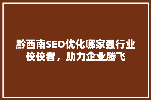 黔西南SEO优化哪家强行业佼佼者，助力企业腾飞  第1张