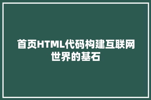 首页HTML代码构建互联网世界的基石