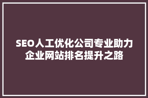 SEO人工优化公司专业助力企业网站排名提升之路
