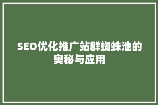 SEO优化推广站群蜘蛛池的奥秘与应用