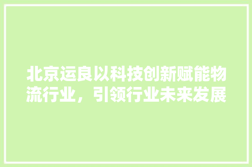 北京运良以科技创新赋能物流行业，引领行业未来发展