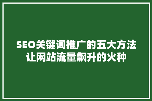 SEO关键词推广的五大方法让网站流量飙升的火种  第1张