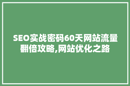 SEO实战密码60天网站流量翻倍攻略,网站优化之路