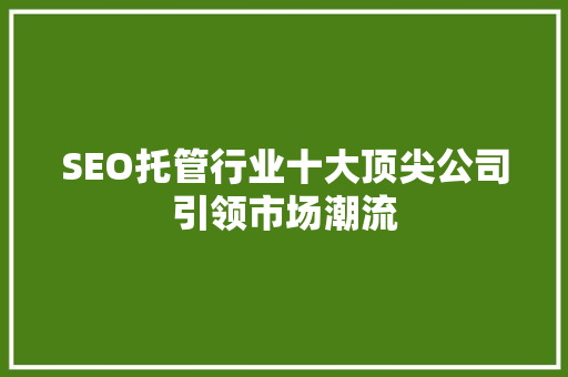 SEO托管行业十大顶尖公司引领市场潮流