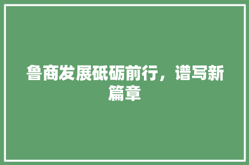 鲁商发展砥砺前行，谱写新篇章