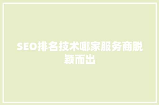 SEO排名技术哪家服务商脱颖而出