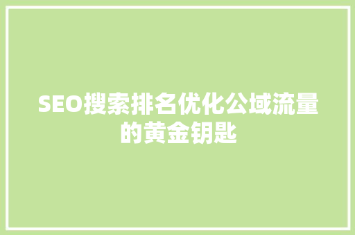SEO搜索排名优化公域流量的黄金钥匙