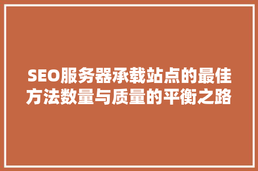 SEO服务器承载站点的最佳方法数量与质量的平衡之路  第1张