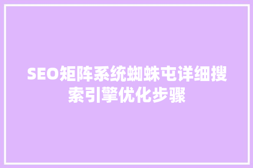 SEO矩阵系统蜘蛛屯详细搜索引擎优化步骤