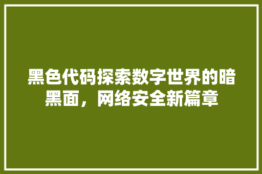黑色代码探索数字世界的暗黑面，网络安全新篇章