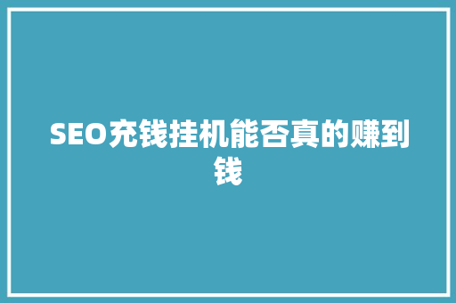 SEO充钱挂机能否真的赚到钱