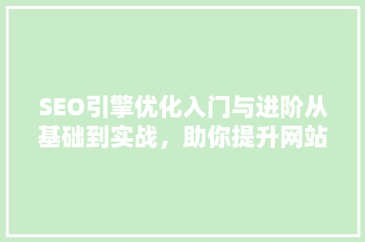 SEO引擎优化入门与进阶从基础到实战，助你提升网站排名