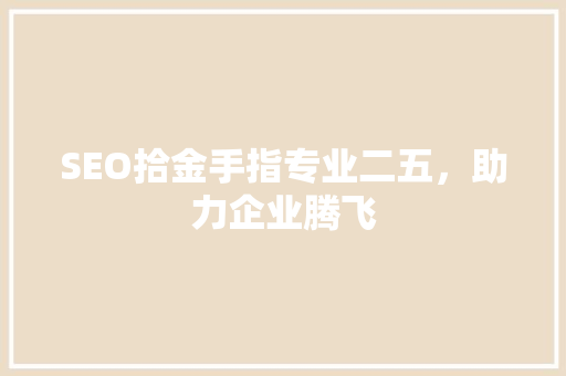SEO拾金手指专业二五，助力企业腾飞